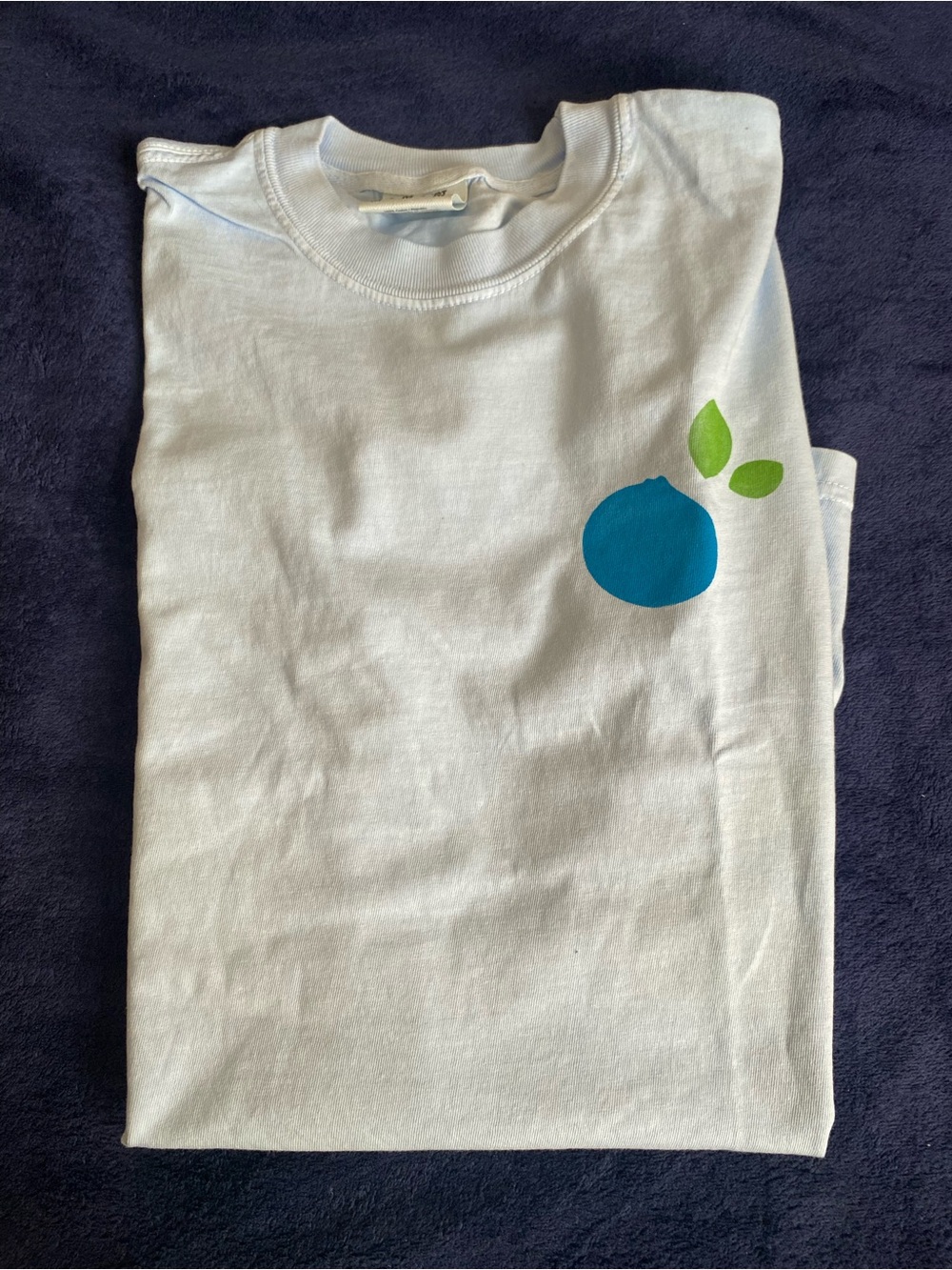 4 Shirt Bundle Champion Snoopy Driscoll’s Graphic Tees Thermal NWT/NWOT M-Xl - Picture 2 of 5